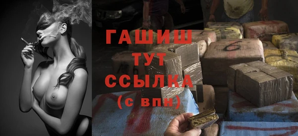 прущие грибы Надым