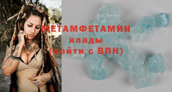 прущие грибы Надым