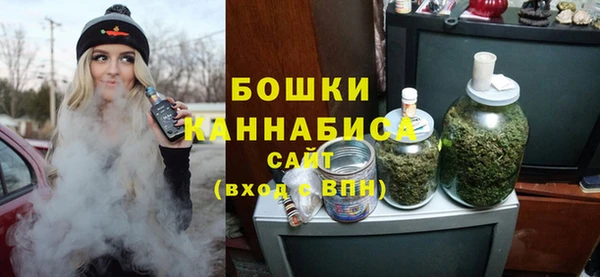 прущие грибы Надым