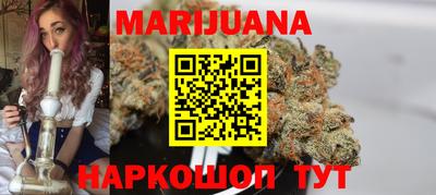 Альфа ПВП Гатчина
