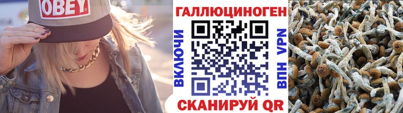 где найти   Ирбит  Галлюциногенные грибы Magic Shrooms 