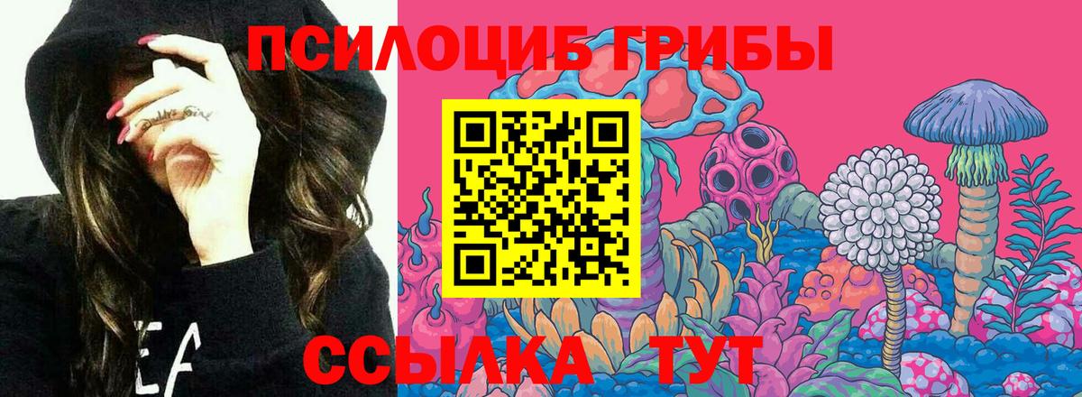 Галлюциногенные грибы Psilocybine cubensis  Вход с VPN  Ирбит 